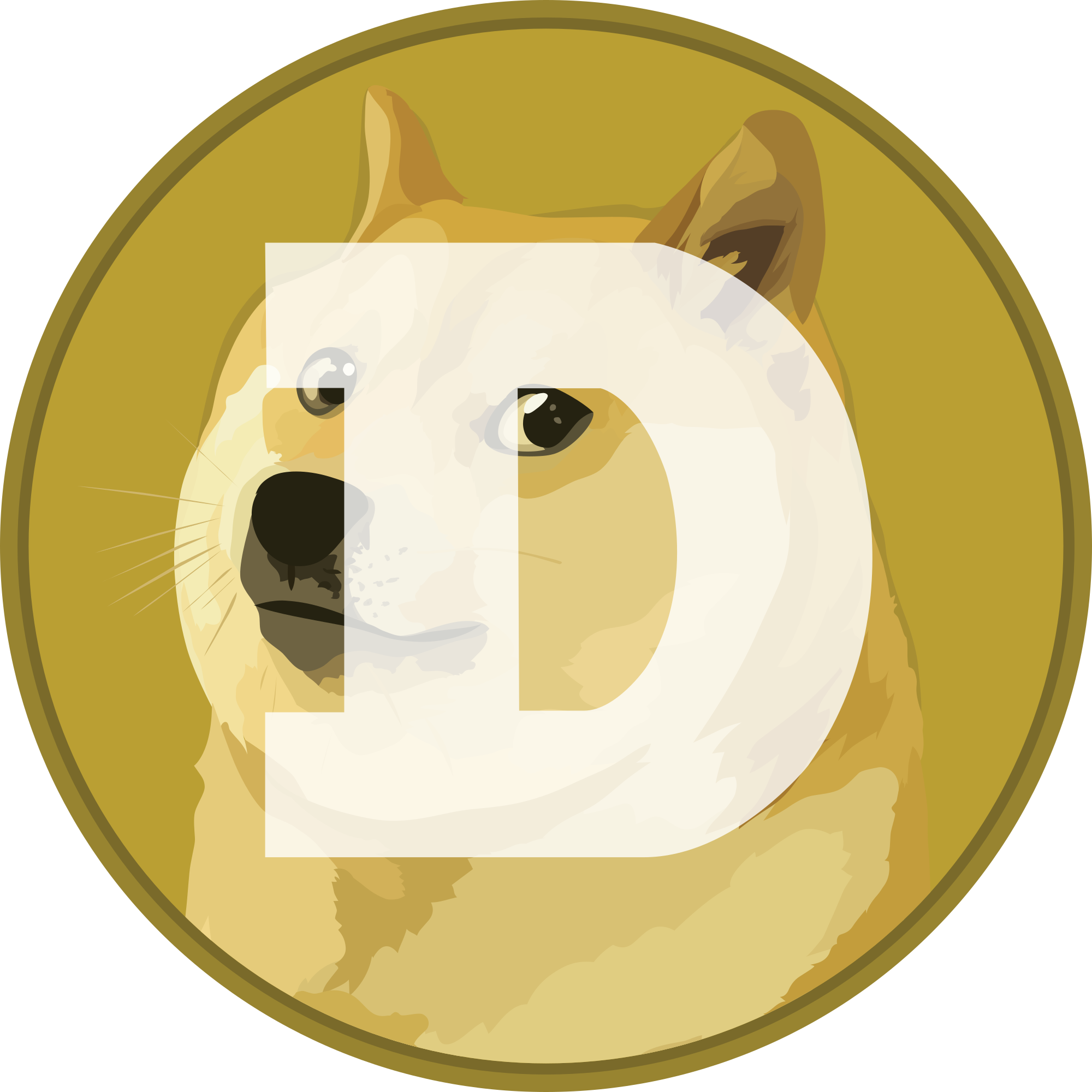 Dogecoin Sicherheitsbest Practices 2024 4.9.6