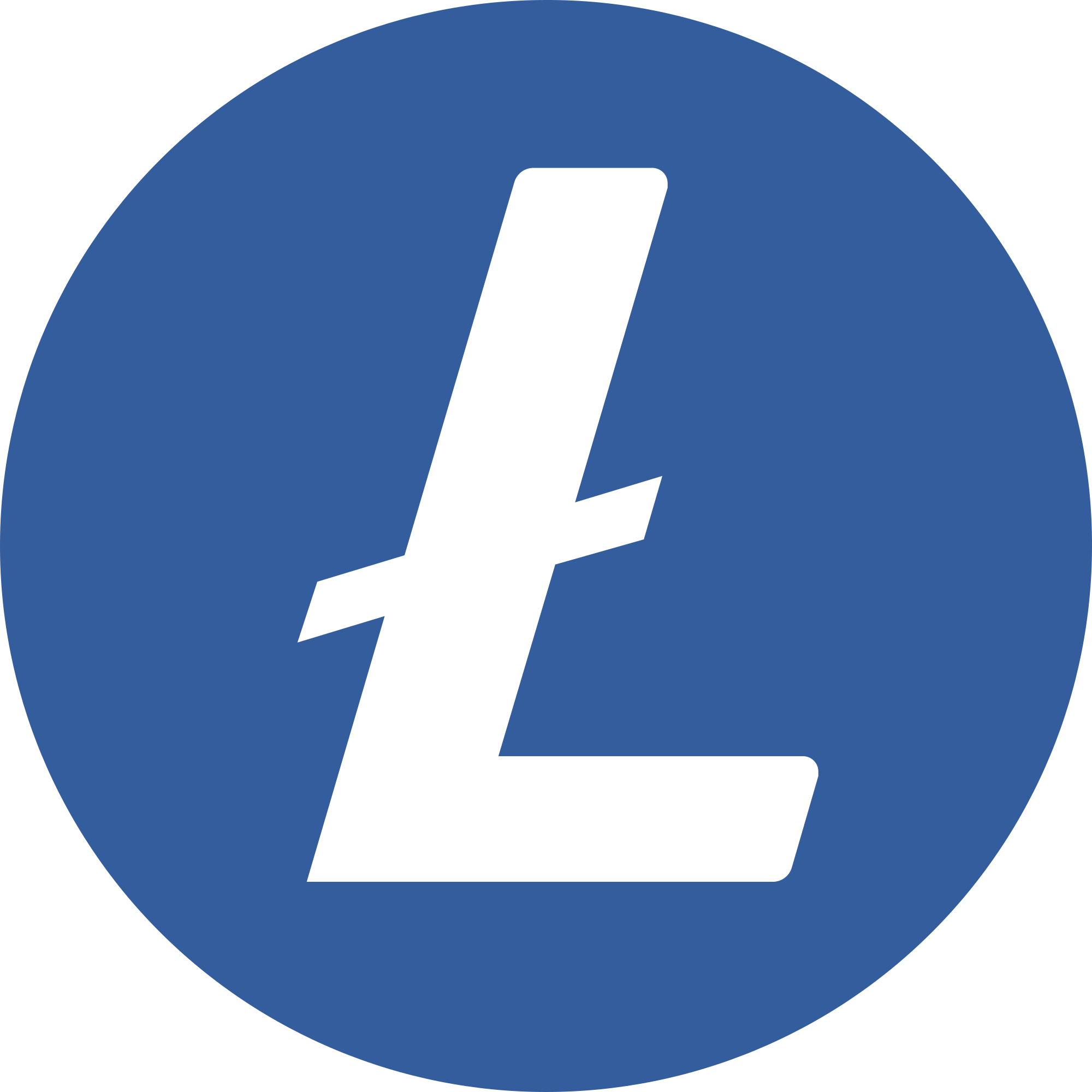 Litecoin Risikobewertungsbericht 2024 3.8.6